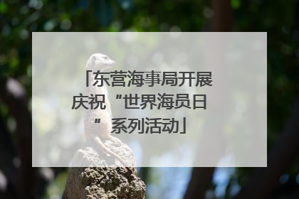 东营海事局开展庆祝“世界海员日”系列活动