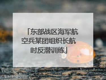 东部战区海军航空兵某团组织长航时反潜训练