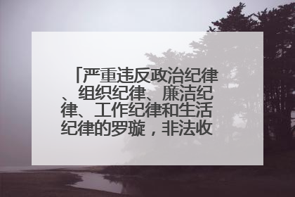 严重违反政治纪律、组织纪律、廉洁纪律、工作纪律和生活纪律的罗璇，非法收受他人巨额财物