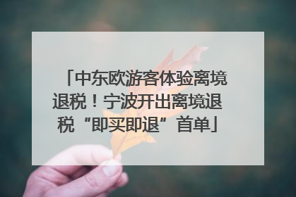 中东欧游客体验离境退税！宁波开出离境退税“即买即退”首单
