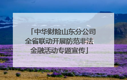 中华财险山东分公司全省联动开展防范非法金融活动专题宣传