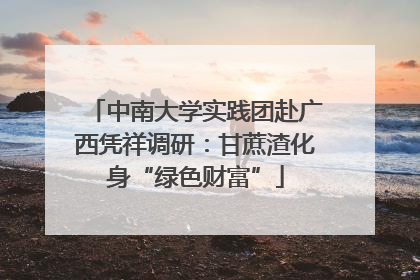 中南大学实践团赴广西凭祥调研：甘蔗渣化身“绿色财富”