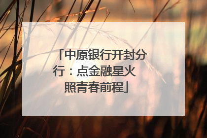 中原银行开封分行：点金融星火 照青春前程