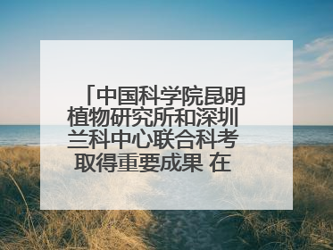 中国科学院昆明植物研究所和深圳兰科中心联合科考取得重要成果 在神农架发现两种“国保”级兰花