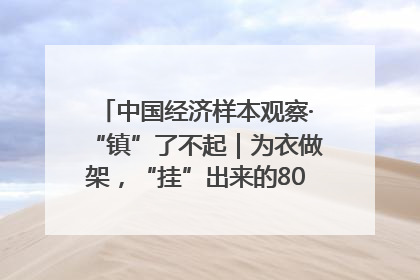 中国经济样本观察·“镇”了不起｜为衣做架，“挂”出来的80亿元“衣架产业”