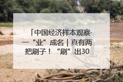 中国经济样本观察·一“业”成名｜真有两把刷子！“刷”出30亿级“颜值经济”
