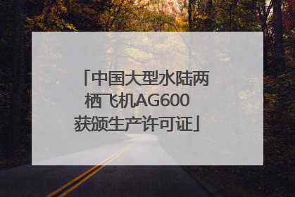 中国大型水陆两栖飞机AG600获颁生产许可证