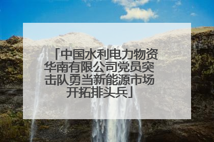 中国水利电力物资华南有限公司党员突击队勇当新能源市场开拓排头兵