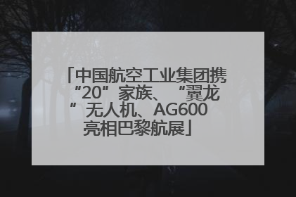 中国航空工业集团携“20”家族、“翼龙”无人机、AG600亮相巴黎航展