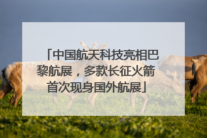 中国航天科技亮相巴黎航展，多款长征火箭首次现身国外航展