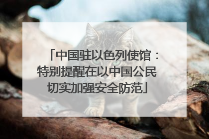 中国驻以色列使馆：特别提醒在以中国公民切实加强安全防范