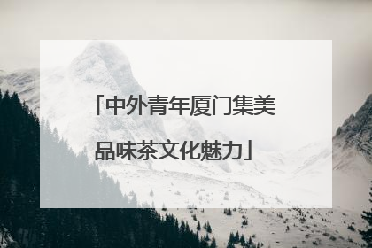 中外青年厦门集美品味茶文化魅力