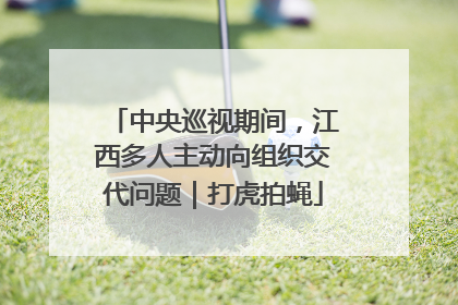 中央巡视期间，江西多人主动向组织交代问题｜打虎拍蝇
