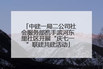 中建一局二公司社会服务部携手滨河东里社区开展“庆七一”联建共建活动