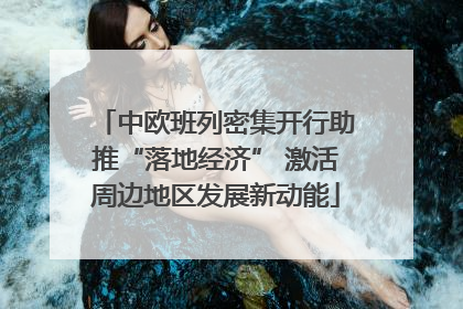 中欧班列密集开行助推“落地经济” 激活周边地区发展新动能