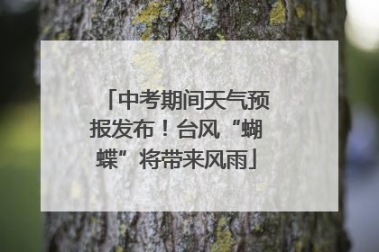 中考期间天气预报发布！台风“蝴蝶”将带来风雨
