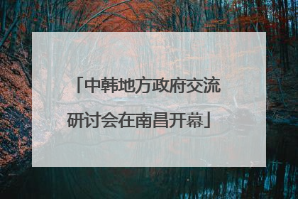 中韩地方政府交流研讨会在南昌开幕