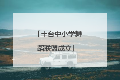 丰台中小学舞蹈联盟成立