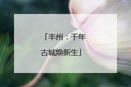 丰州：千年古城焕新生