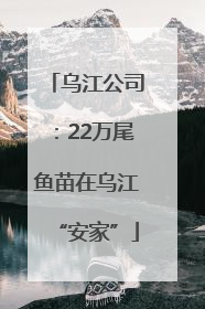 乌江公司：22万尾鱼苗在乌江“安家”