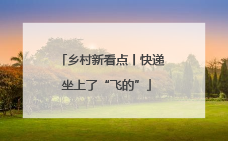 乡村新看点丨快递坐上了“飞的”