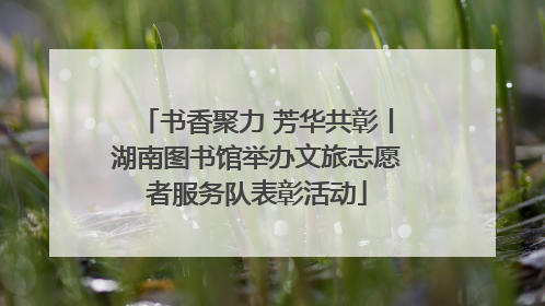 书香聚力 芳华共彰丨湖南图书馆举办文旅志愿者服务队表彰活动