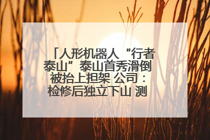 人形机器人“行者泰山”泰山首秀滑倒被抬上担架 公司：检修后独立下山 测试就是为暴露问题