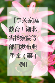 事关家庭教育！湖北省检察院等部门发布典型案（事）例