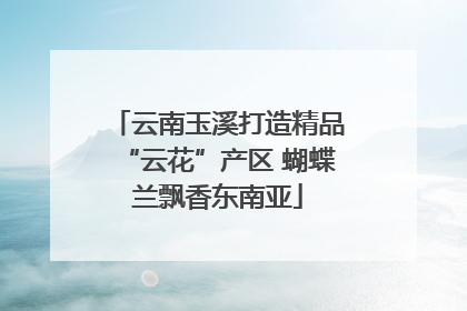 云南玉溪打造精品“云花”产区 蝴蝶兰飘香东南亚