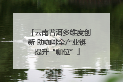 云南普洱多维度创新 助咖啡全产业链提升“咖位”