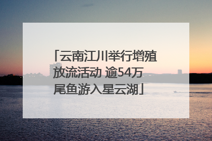 云南江川举行增殖放流活动 逾54万尾鱼游入星云湖
