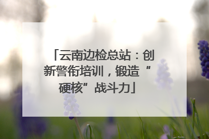 云南边检总站：创新警衔培训，锻造“硬核”战斗力