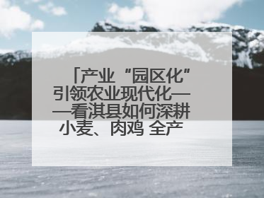 产业“园区化”引领农业现代化——看淇县如何深耕小麦、肉鸡 全产业链打造现代农业产业园