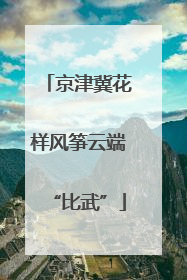 京津冀花样风筝云端“比武”
