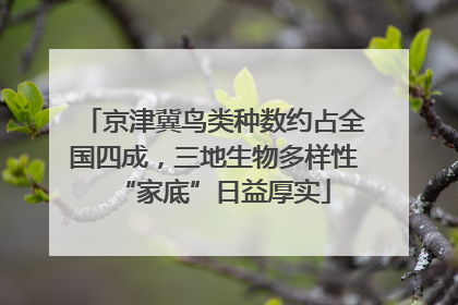 京津冀鸟类种数约占全国四成，三地生物多样性“家底”日益厚实
