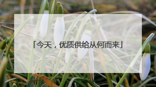 今天，优质供给从何而来