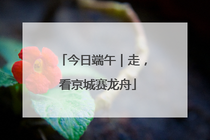 今日端午｜走，看京城赛龙舟
