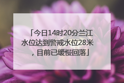 今日14时20分兰江水位达到警戒水位28米，目前已缓慢回落
