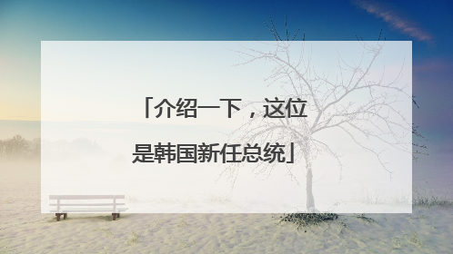 介绍一下，这位是韩国新任总统