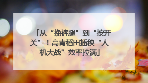 从“挽裤腿”到“按开关”！高青稻田插秧“人机大战”效率拉满