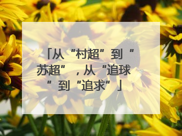 从“村超”到“苏超”，从“追球”到“追求”