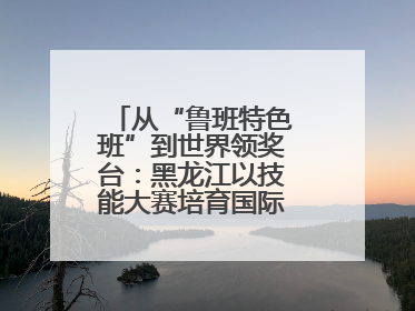 从“鲁班特色班”到世界领奖台：黑龙江以技能大赛培育国际级工匠人才