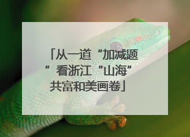 从一道“加减题”看浙江“山海”共富和美画卷