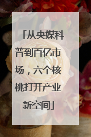 从央媒科普到百亿市场，六个核桃打开产业新空间