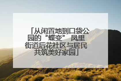 从闲置地到口袋公园的“蝶变” 凤里街道后花社区与居民共筑美好家园