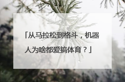 从马拉松到格斗，机器人为啥都爱搞体育？