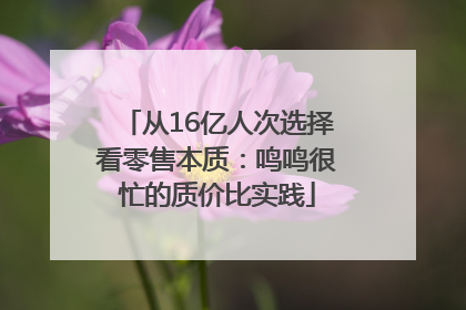 从16亿人次选择看零售本质：鸣鸣很忙的质价比实践