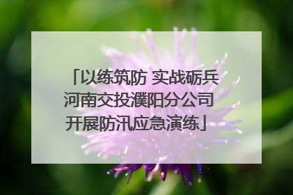 以练筑防 实战砺兵 河南交投濮阳分公司开展防汛应急演练