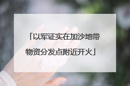 以军证实在加沙地带物资分发点附近开火