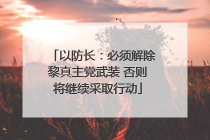 以防长：必须解除黎真主党武装 否则将继续采取行动